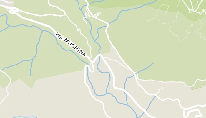 Térkép