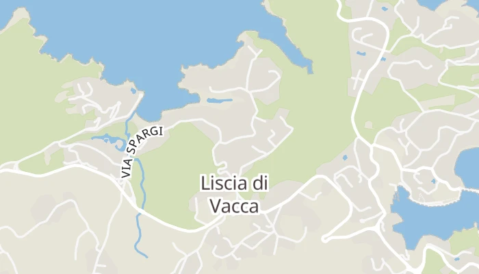 Χάρτης