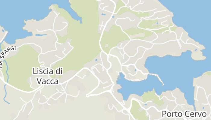 Térkép
