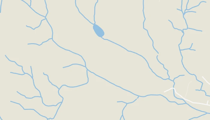 Kort