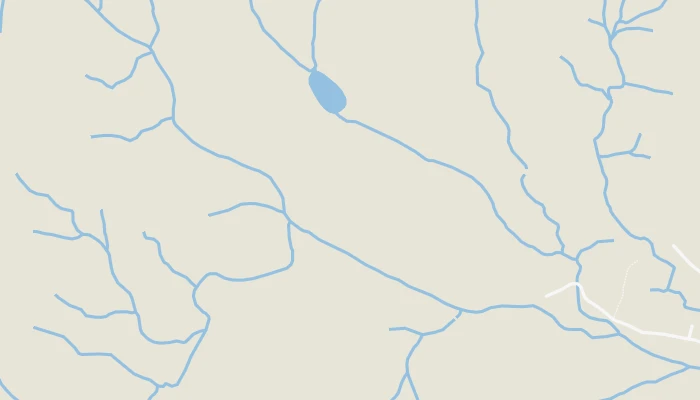 Χάρτης